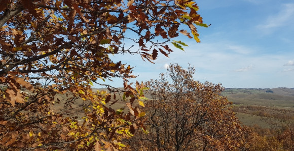 Pretežno sunčano i toplije u odnosu na prethodne dane