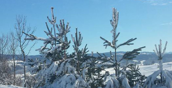 Prvi dan u godini pretežno sunčan i dosta topliji