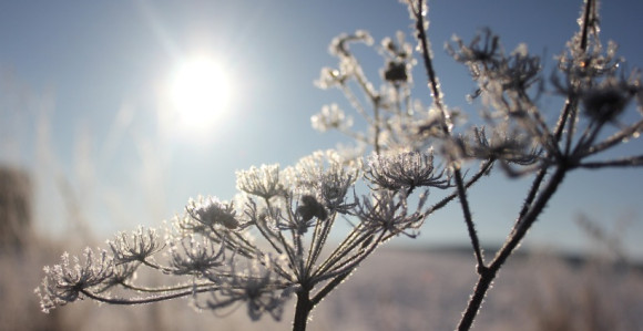 Jutro vedro i vrlo hladno, tokom dana sunčaniji periodi