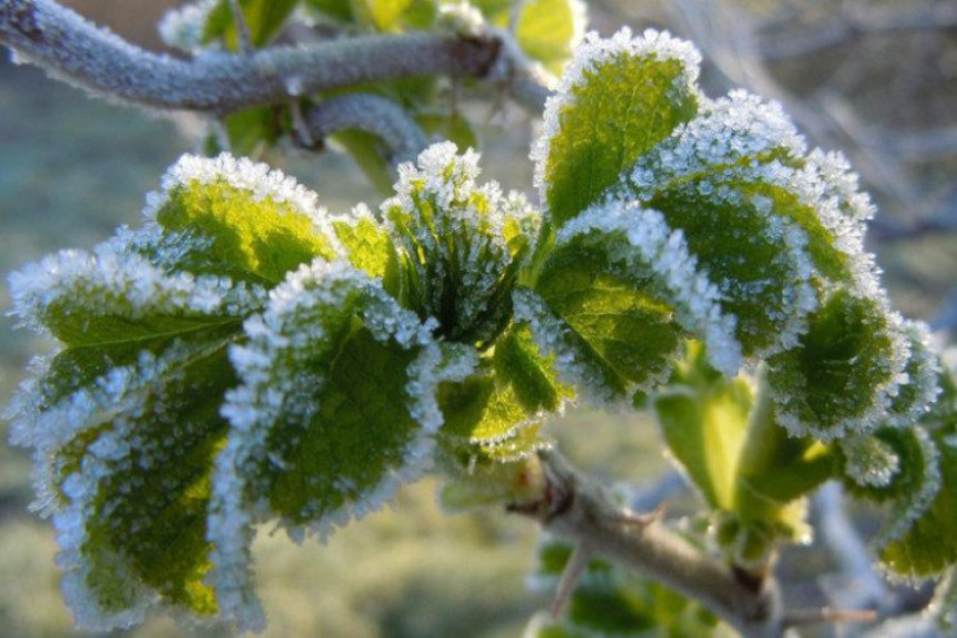 Toplo i vjetrovito do petka, a zatim stižu kiša i snijeg