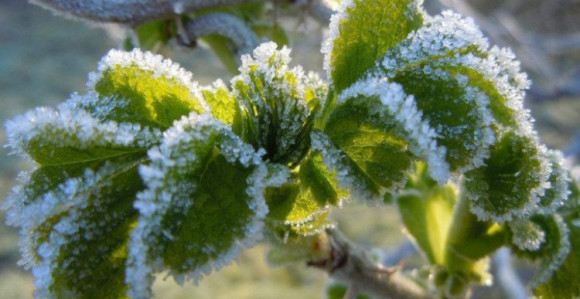 Toplo i vjetrovito do petka, a zatim stižu kiša i snijeg