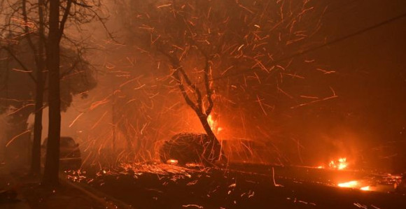 Katastrofa: Stižu olujni vjetrovi u Los Anđeles, požari bukte