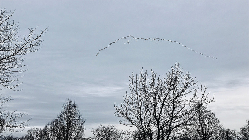 Danas oblačno, hladno i pretežno suvo vrijeme