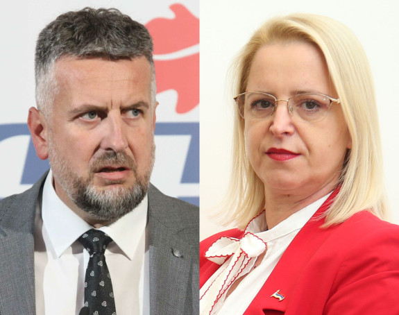 СНСД признао Уставни суд БиХ: Жалили се због Вуковића?!