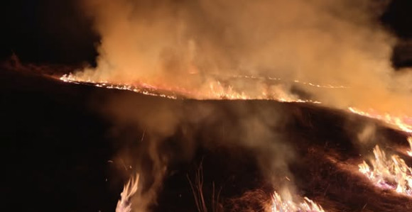 Požar kod Gacka prijeti borovoj šumi staroj 70 godina