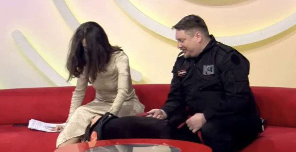 Urnebesdna scena u studiju: Pas tragač završio pod haljinom voditeljke! (VIDEO)