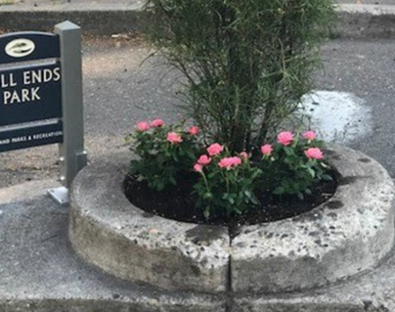 Ovo je bio najmanji park na svetu dok se nije pojavi manji u Japanu!