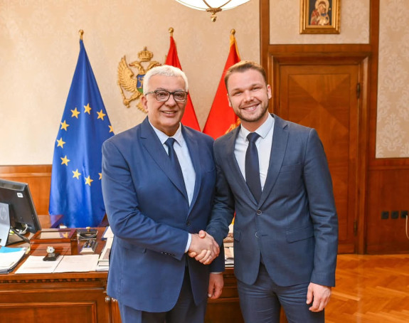 Stanivuković sa Mandićem o ustavnoj poziciji Srpske