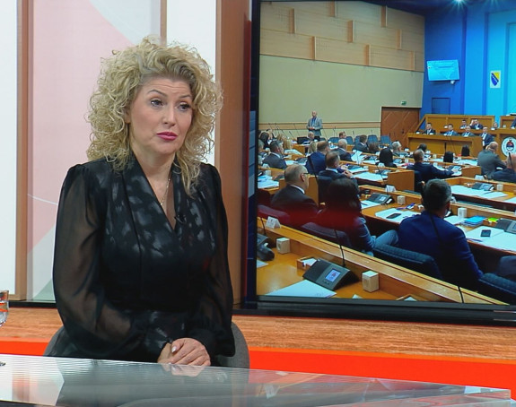 Orašanin: Dodik može Trampu nuditi svoju očevinu, ne može prirodna bogastva Srpske (VIDEO)