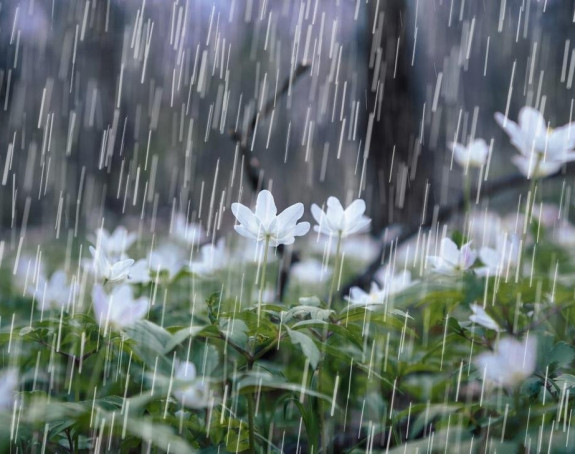 Danas nestabilno, uz pljuskove i kišu sa grmljavinom