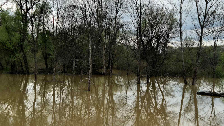 Semberija: Situacija nije alarmantna, prati se vodostaj Save