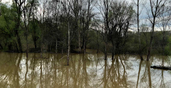 Semberija: Situacija nije alarmantna, prati se vodostaj Save