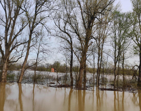 Vodostaj rijeke Save u Semberiji u opadanju
