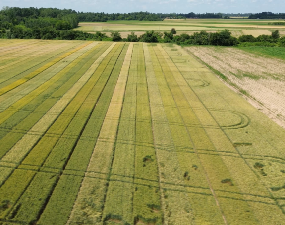 Neiskorišćeno više od 60% obradivog zemljišta u BiH