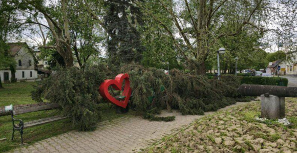 Jako nevrijeme u Kozarskoj Dubici: Vjetar rušio stabla