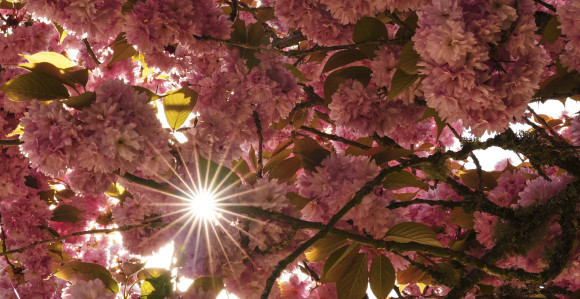 Danas pretežno sunčano vrijeme, mala oblačnost