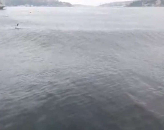 Pogledajte kako se talasa more tokom zemljotresa u Turskoj