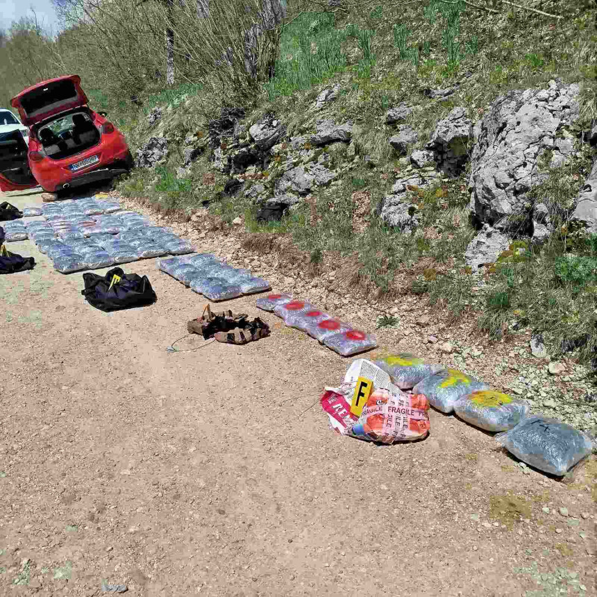 Pronađeno više od 100 kg marihuane, ima uhapšenih