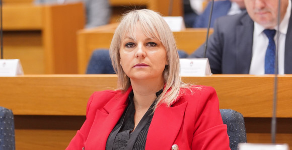 Savić-Banjac: Čega se pametan stidi, manje pametan se ponosi