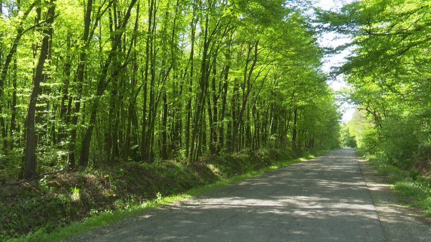 Danas sunčano i još toplije vrijeme, do 33 stepena