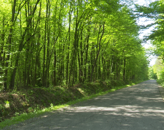 Danas sunčano i još toplije vrijeme, do 33 stepena