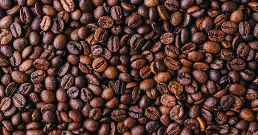 Ovogodišnja berba kafe dobra: Može li doći do pada cijene?