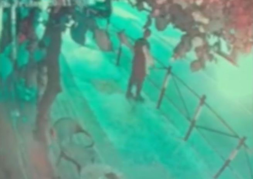 Dačić otkrio detalje: Ubistvo u centru Beograda naručeno