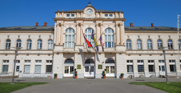 Зора Видовић послала инспекцију Љубиши Петровићу