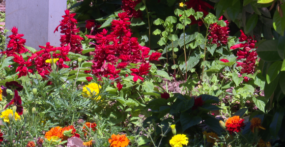 Toplo i sunčano, uz postepeno naoblačenje, do 34°C
