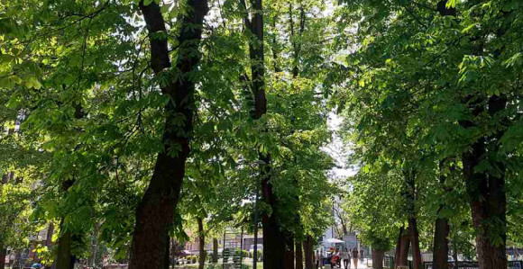 Nastupilo je ljeto: Obdanica najduža, a noć najkraća