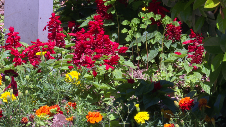 Temperatura danas i do 36 stepeni Celzijusovih