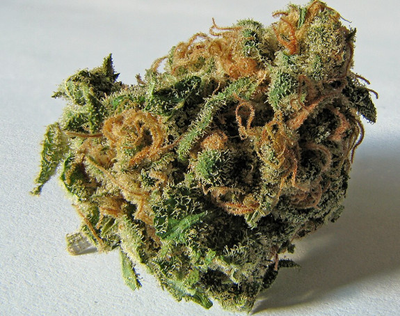 Разбијен нарко-клан са Балкана, дрога вриједна милионе евра