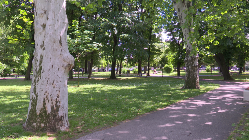 Maksimalna temperatura vazduha od 33 do 38