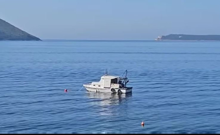 Kod Herceg Novog u Jadranu snimljen pravi morski džin