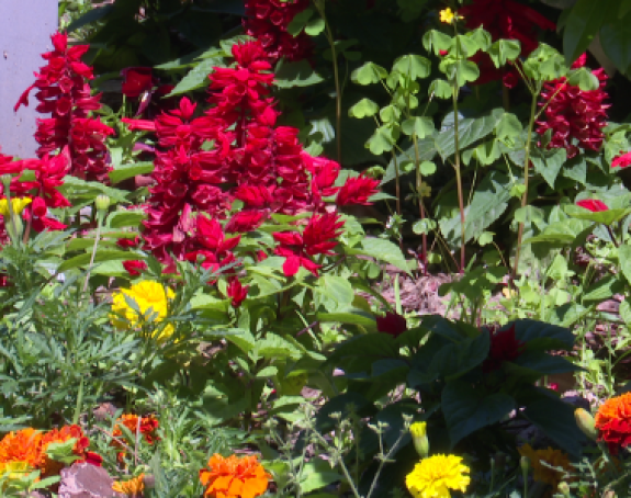 Temperatura danas od 34 do 40 stepeni Celzijusovih