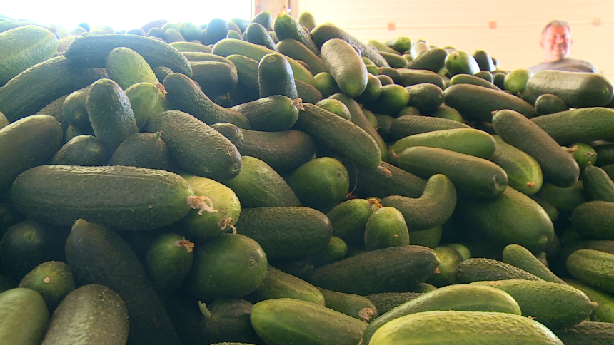 Poražavajuće: Hrana u BiH postaje luksuz, a ne potreba