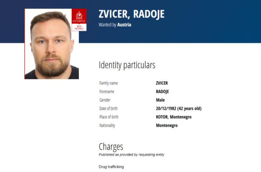 Velika akcija u Srbiji: Uhapšeni saradnici Radoja Zvicera