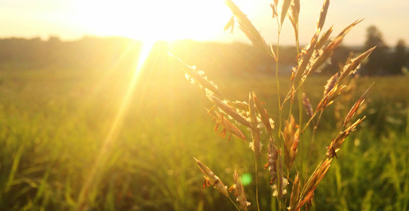 Sunčano i vruće, temperatura i do 40 stepeni