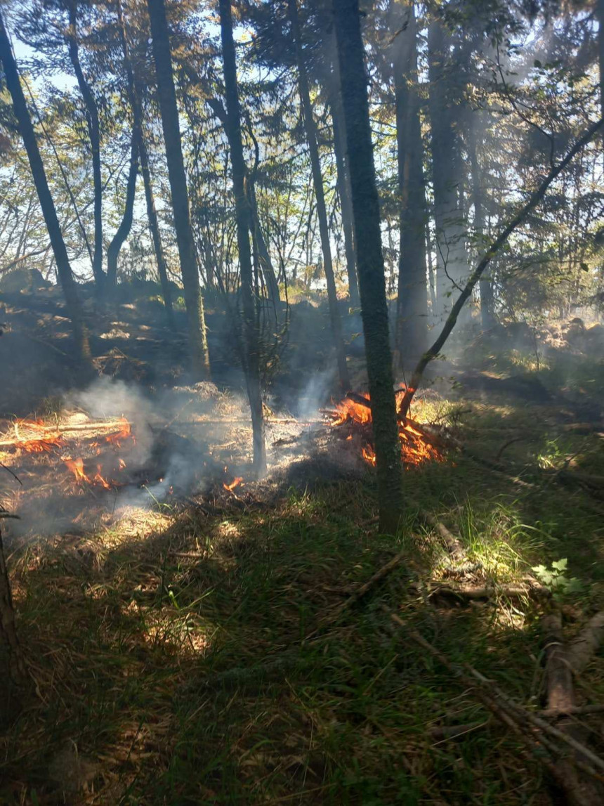 Пожар у НП "Дрина", нико још није изашао на терен