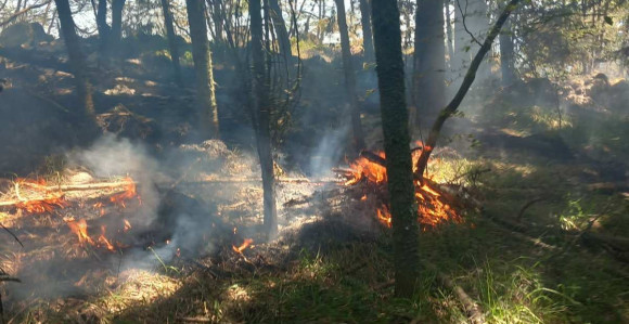 Požar u NP "Drina", niko još nije izašao na teren