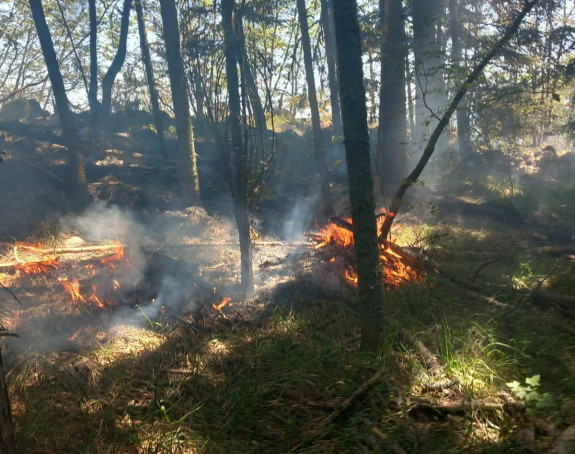Požar u NP "Drina", niko još nije izašao na teren