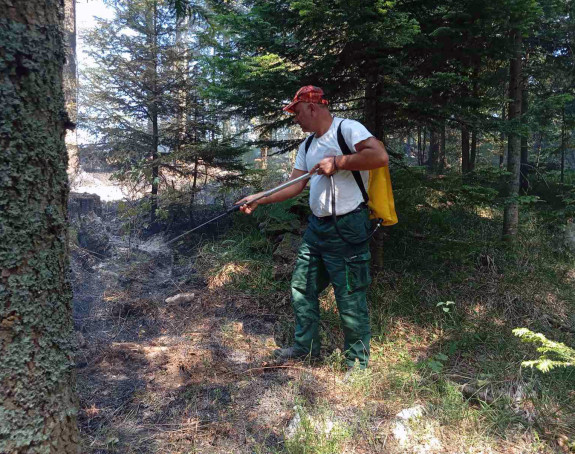 Požar u NP Drina Srebrenica proširio se dublje