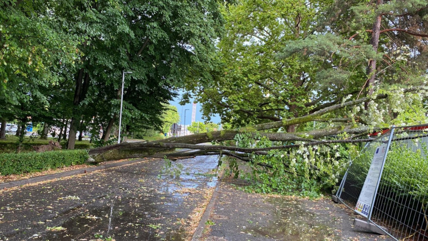 Olujno nevrijeme kod Siska, vjetar rušio stabla