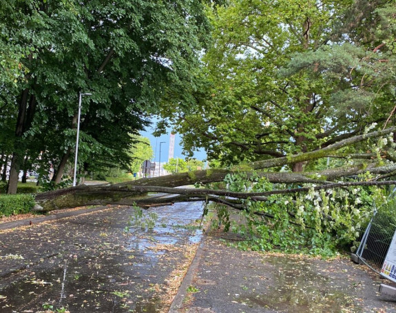 Olujno nevrijeme kod Siska, vjetar rušio stabla