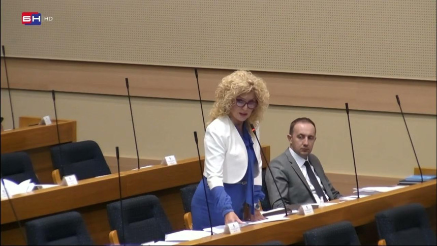 SDS treba nova energija koja će biti nosilac promjena