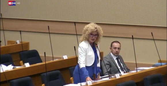 SDS treba nova energija koja će biti nosilac promjena