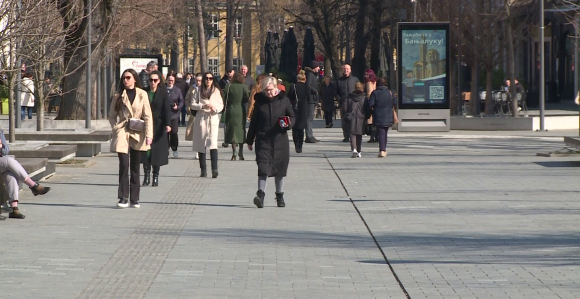Dok broji automobile na ulici, Dodiku statistika ne ide u korist