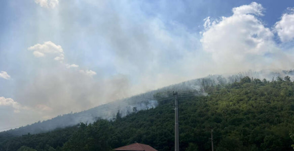 Lokalizovan požar na jugu Srpske, spasene kuće i imovina