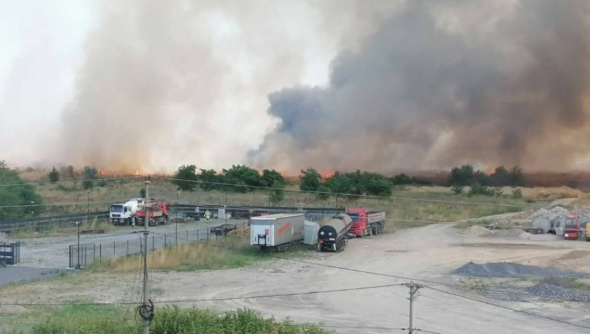Gori Batajnica: Zbog vjetra požar se širi velikom brzinom