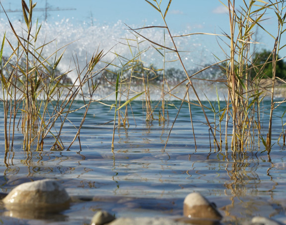 Toplo, uz postepeno naoblačenje sa sjevera, do 34 °C